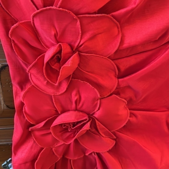 Sequin Hearts JUNIOR GIRL SIZE 5 red dress with flowers on front. - Picture 2 of 8